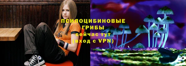 кокс Абаза